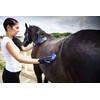 Intrepid International Magic Horse Brush, for Horse Grooming Kit w/Durable