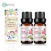 2-Pack Rose Essential Oil - 100% Pure Organic Natural Plant