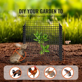 Happybuy 10 Pack 12'' x 12'' Plant Protector (40pcs Metal Mesh). Chicken Wire Cages for Outdoor Plants, Flowers & Veggies. Keeps Bunnies, Chickens, Squirrels Away
