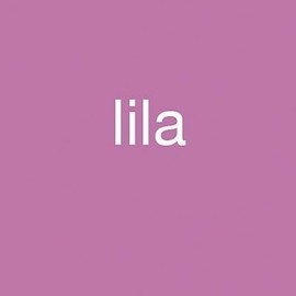 PAGNA Sammelbox A4 TREND lila/21308-12 lila