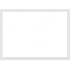 [B5-format Square Notebook, 0.2 inch (5 mm) Ruled] 30 Sheets,