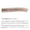 Monolife Deer Antler Half Split Dog Toy, Additive-free, Snack, Ezojika,