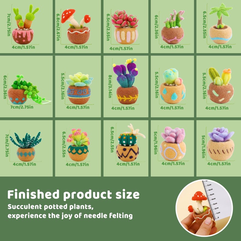 Needle Felting Kit, 15 PCS Succulent Beginner Needle Felting Kit,