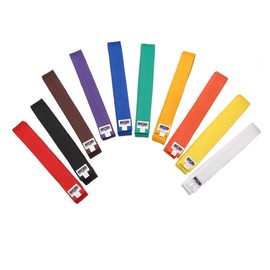 Macho Rank Karate Belts - Brown - Size 2