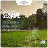 Organic Whole Sesame Tahini Paste - Unhulled & Stone-Ground -