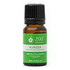 Zea Essentials - Kunzea Essential Oil, 10ml