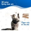Cat Dancer Interactive Cat Toy - Fun and Fitness for