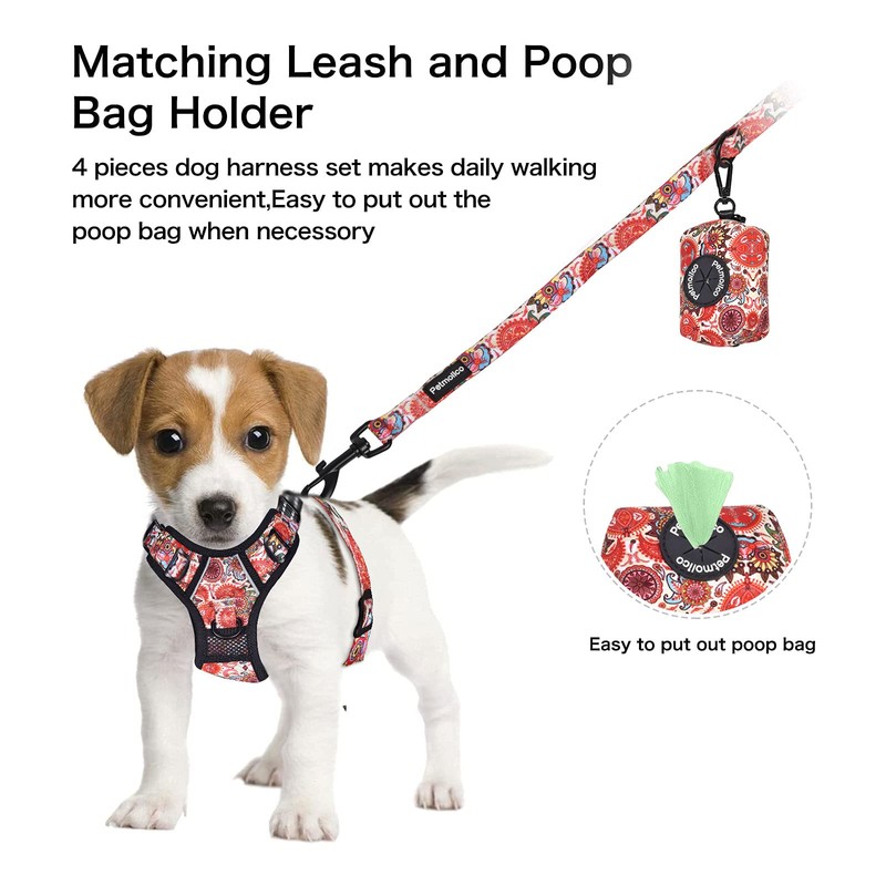 Petmolico No Pull Dog Harness Set, 2 Leash Attchment Easy