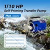 BTAEGH Water Transfer Pump 115V 1/10HP 330 GPH Portable Electric