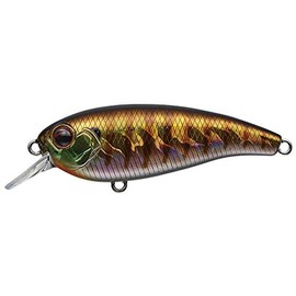 EVERGREEN Belkant #50 Baby Gill