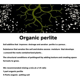 50 QT Professional Grade Horticultural Organic Vermiculite and Perlite (Perlite, 50 QT)