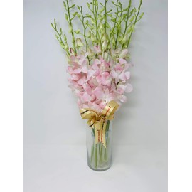 eflowerwholesale Fresh Dendrobium Orchids Natural Peachy Beauty with vase