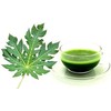 Herbal Magic Natural Papaya Leaf (Carica Papaya) 60 x 500mg