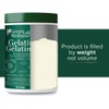Great Lakes Wellness Beef Gelatin Powder | Unflavored, Grass-Fed |