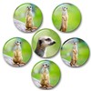 Merchandise for Fans 01 Fridge Magnets Meerkat Set of 6