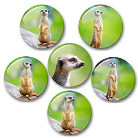 Merchandise for Fans 01 Fridge Magnets Meerkat Set of 6