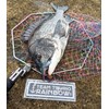 (TEAM TSURIO RAINBOW 8) Super Fishing Man Rainbow Single, Nylon,