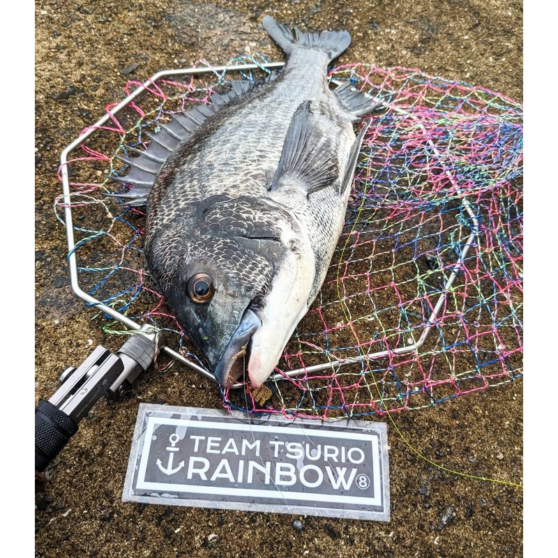(TEAM TSURIO RAINBOW 8) Super Fishing Man Rainbow Single, Nylon,