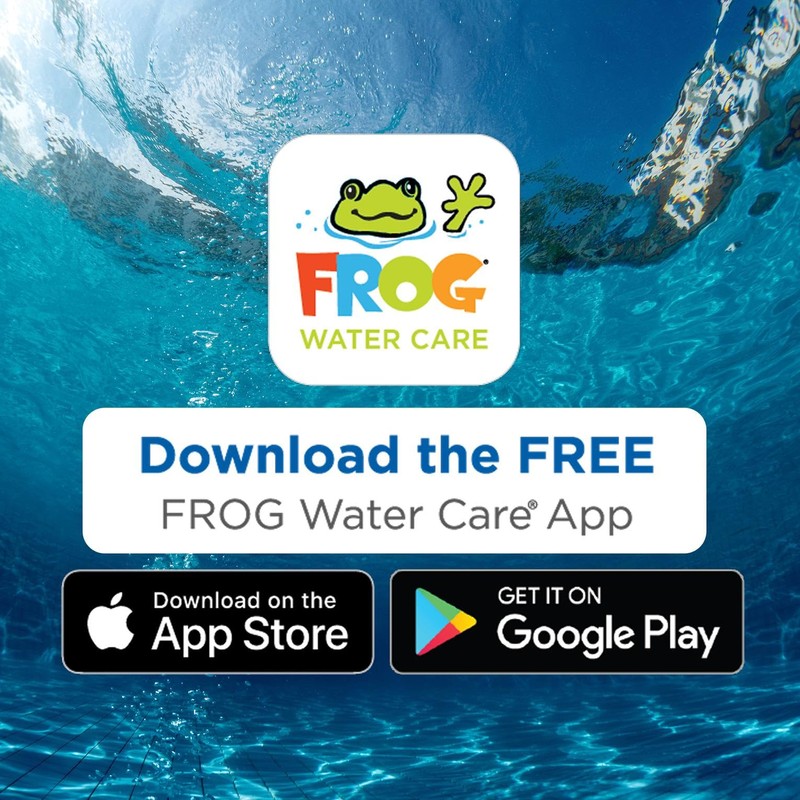 FROG BAM 90-Day Algae Preventative - Pool Winterizer Chemical and
