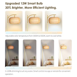 DRAWNCAT Gold Boho Rattan Floor Lamp w/Remote, Dimmable (2700K - 6000K), 2 - in - 1 Wicker & Fabric Shade, Adjustable 165-172cm for Living Room & Bedroom