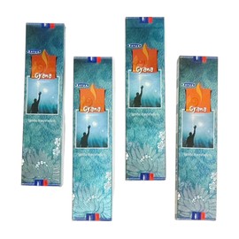 GYAN Incense Sticks – 4 Pack x 15g – Aromatic Sticks for Meditation, Relaxation, and Spiritual Well-being