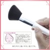 Shishida Seishindo PA-01 Cosmetic Brush, Brush School Face Brush