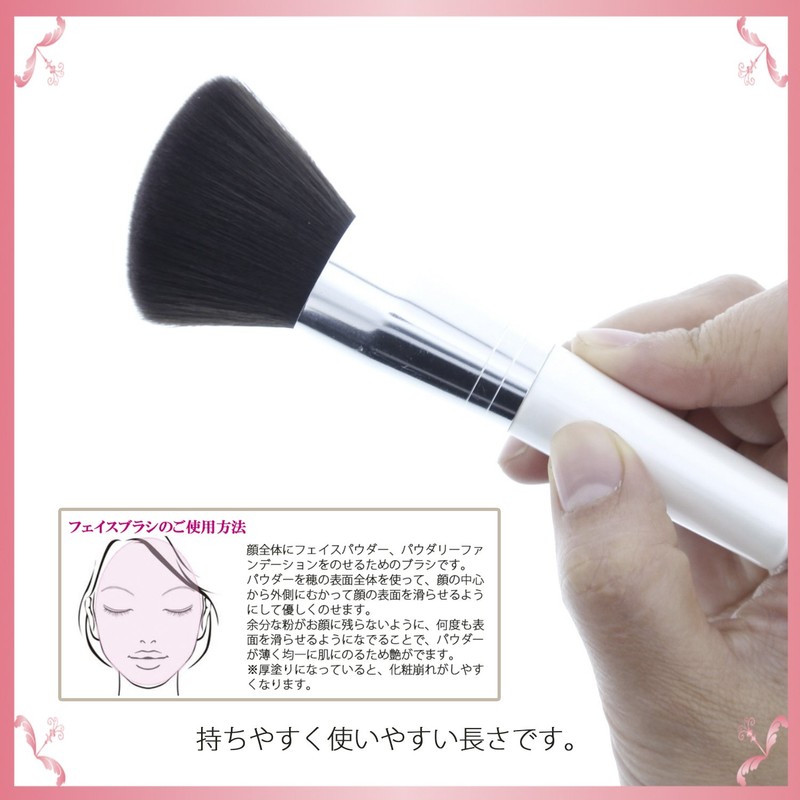 Shishida Seishindo PA-01 Cosmetic Brush, Brush School Face Brush