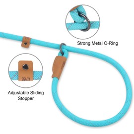 Slip Lead Dog Leash – 5FT, 2 Sizes – Reflective Mountain Climbing Rope (Turquoise, 2/1)