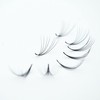 GorgeousLash 1000 Premade Lash Fans. 10D, 8D, 7D, 6D, 5D,