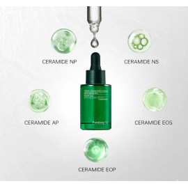 Pyunkang Yul Ultimate Calming Ampoule 30ml Skincare Coreano Acneica Día/noche