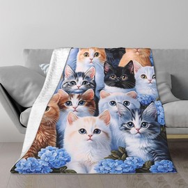 DMERBYL Cute Cat Design Flannel Fleece Bed Blanket Throw Blanket Lightweight Cozy Plush Blanket for Bedroom Living Rooms Sofa Couch 60"x80"