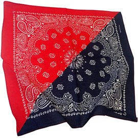 Topkids Accessories Paisley Bandanas for Women and Men, Hair Bandana, Neck Scarf Men, Neck Warmer Men, Head Band, Bandana Scarf, Face cover, Bandana Headband (Red & Navy Two Tone)
