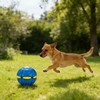 SAVTON Magic Ball, Football Shaped Magic Bouncing Ball,Interactive Pop-Up Transform,