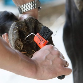 LUCFOR Horses Hoof Pick Gel Grip 2 in 1 Scraper for Scraping Hooves and Brushing - Black/Orange
