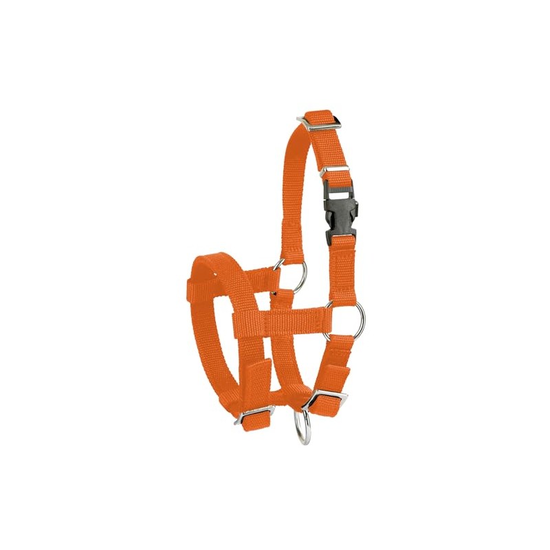 Kerbl Alpaca Headcollar Adjustable - Orange (Dimensions 17 x 18