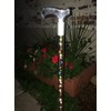 LED Lighted Elegant Acrylic Designer Walking Cane (33")