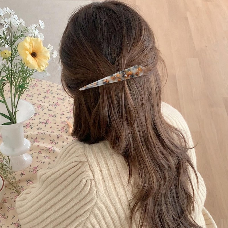 Dizila 6 Pieces Long Big Acrylic Alligator Hair Clips (6PCS