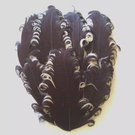 Pretty-Plumes Brown White Curly Goose Feather Pad Hat Headband Purse Sew or Glue on