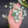 GEMSCITE Green Aventurine 1 LB Tumbled Stones and Crystals Bulk