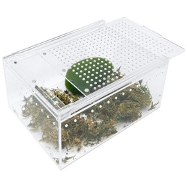 Apatal Reptile Terrarium Enclosure 8"x6"x4" Acrylic Tarantula Breeding Box Magnetic Hermit Crab Habitat Tank Transparent Jumping Spider Cage for Lizard Scorpion Sling Isopods Invertebrates Insect