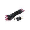 Novelty Lights 20 Light Pink Christmas Craft Mini Light Set,