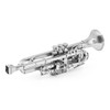 Metal Earth Trumpet 3D Metal Model Kit Fascinations