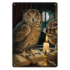 Midsouth Products LISA PARKER 8"x11.5" TIN SIGN -"THE ASTROLOGER"