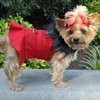 DOGGIE DESIGN Wool Fur Trimmed Dog Harness Coat with Leash