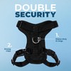 Voyager Step-in Lock Cat Harness and Reflective Cat Leash with