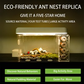 Rimsunta Ant Nest for Live Ants - for Small Ant Clony - Natural Learning Toy - -Great Outworld