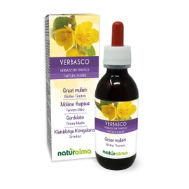 Great Mullein or Common Mullein (Verbascum thapsus) Flowers and Leaves Alcohol-Free Mother Tincture Naturalma | Liquid Extract Drops 120 ml | Food Supplement | Vegan