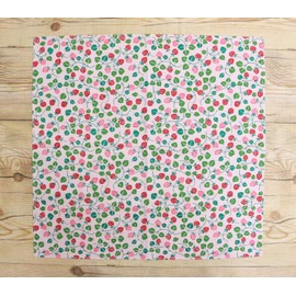 京 佑 Shantung Chief Dream Double 50 X/50 cm