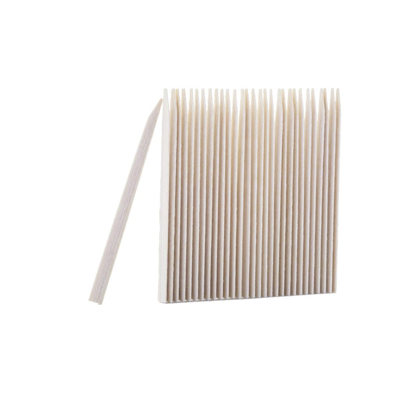 Guardent Dental Toothpicks and Biodegradable Woodsticks Plaque Remover Fresh Effect