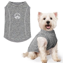 PETCARE Dog Shirt Clothes for Small Medium Dogs Cats Reflective Soft Stretchy Sun Protection Dog T-Shirts Cooling Vest Puppy Chihuahua Yorkie Shih Tzu Clothes Dachshund French Bulldog Pet Outfit